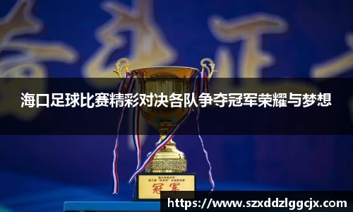 海口足球比赛精彩对决各队争夺冠军荣耀与梦想